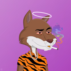 Billionaire Coyote #617