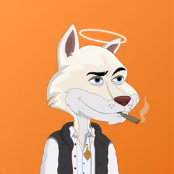 Billionaire Coyote #1483