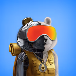 Private Bear Club #4