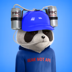 Private Bear Club #13