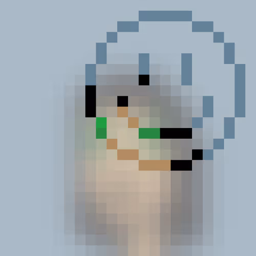 PIV's Networked Collection Patron Edition