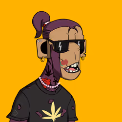 HAZE #667