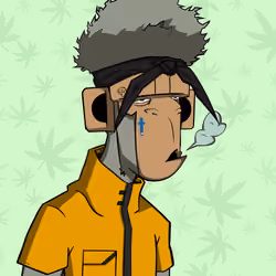 HAZE #586