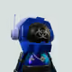 6024