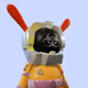 7093