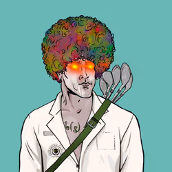 55