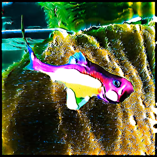 Rare Fish Market By Cydr And Noper