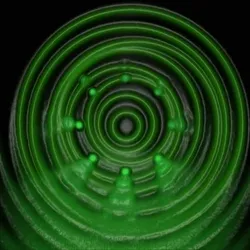 111