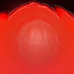 128