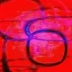 203