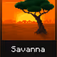 883