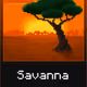 605