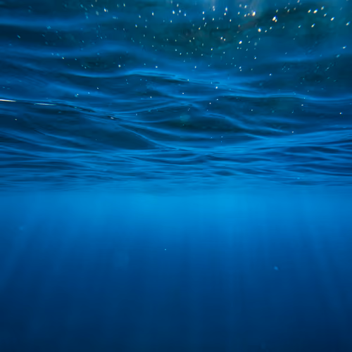 Blue Mind