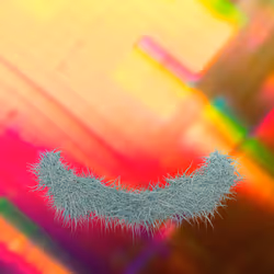 The Fuzzy Wuzzy Mario