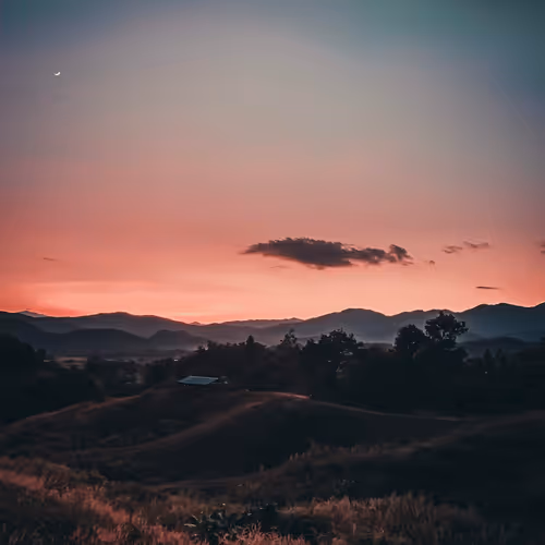 ENLIGHTENMENT - 7rk2S1ANH7