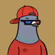 Mr_Medison