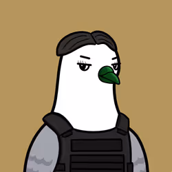 Golubiro #269
