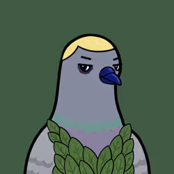 Golubiro #4276