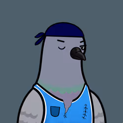 3494