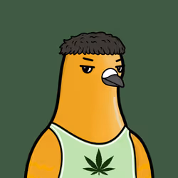 Golubiro #1725