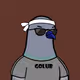 Golubiro #4859
