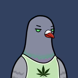 2041