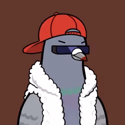 3798