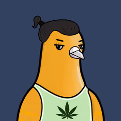 Golubiro #1472