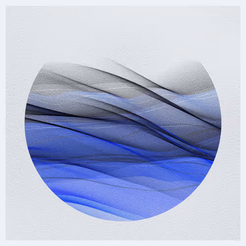 Item #1001300269 Media