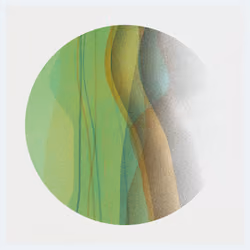 Tidal Friction #266