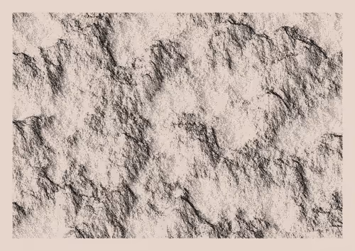 Item #1000700584 Media