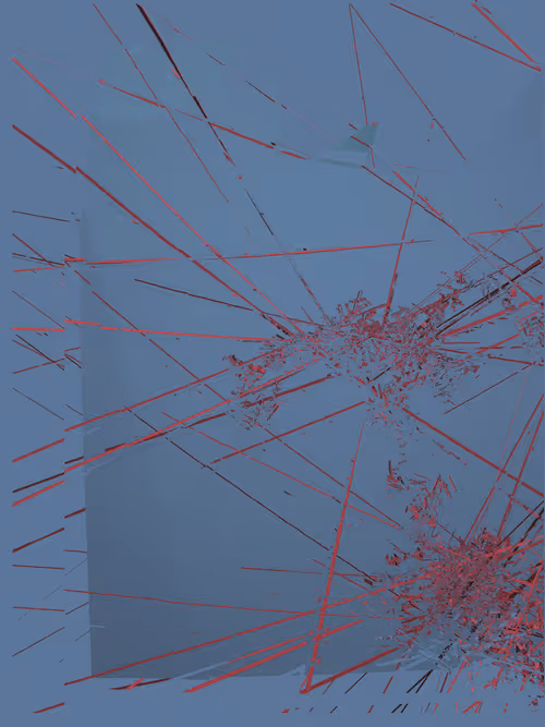 Item #1000800449 Media