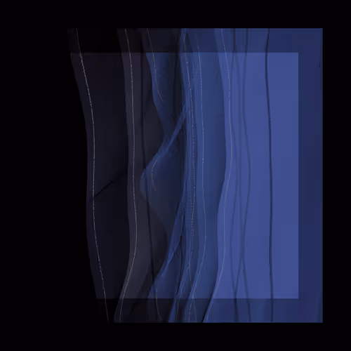 Item #1001300329 Media