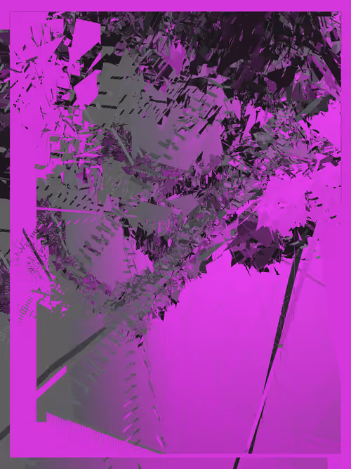 Item #1000800226 Media