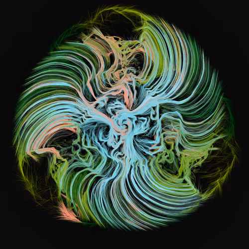 Dendrites By Jenslabs