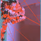 1000800662