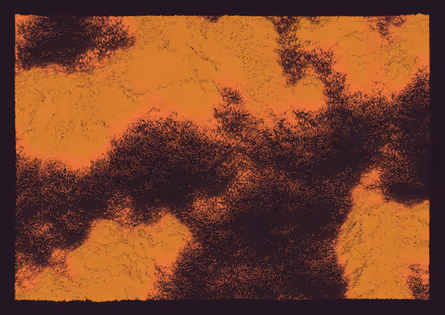 Item #1000700972 Media