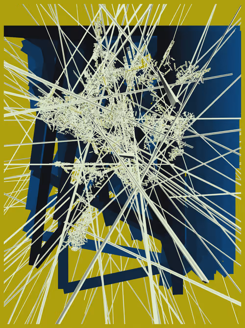 Item #1000800544 Media