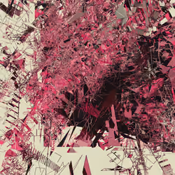 Folded Sequence #306