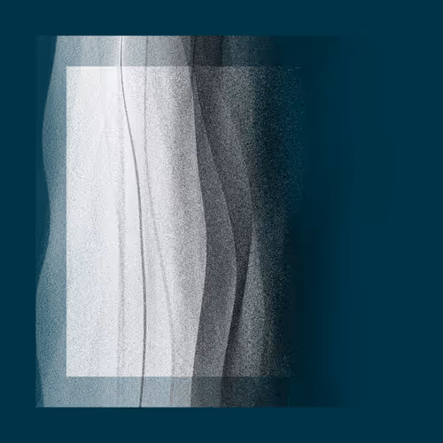 Item #1001300047 Media