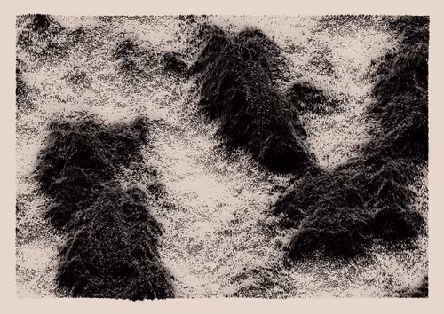 Item #1000700622 Media