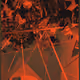 1000800054