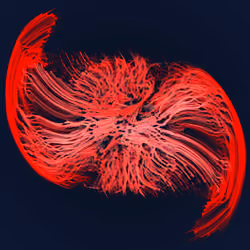 Dendrites #247