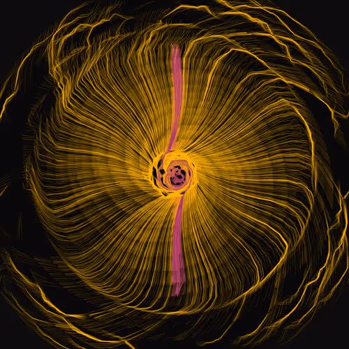 Item #1000900078 Media