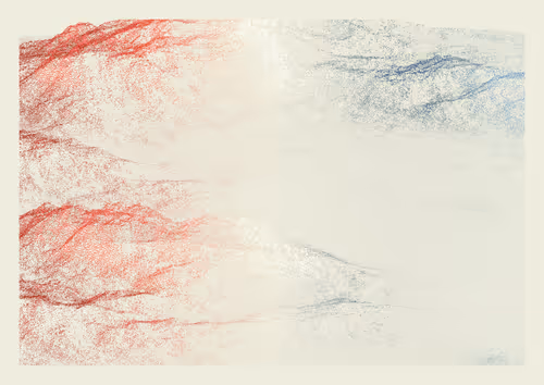 Item #1000700639 Media