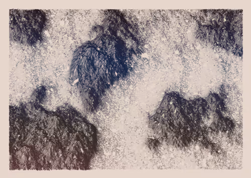 Item #1000700727 Media