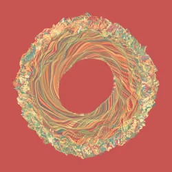 Blóm #377