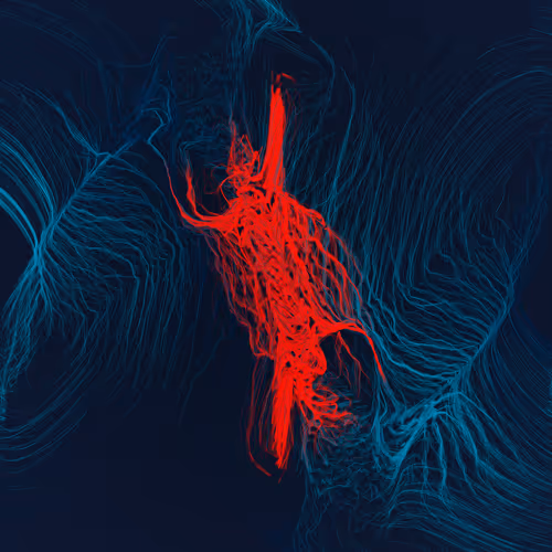 Item #1000900428 Media