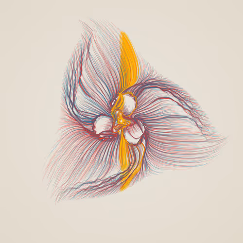 Item #1000900196 Media