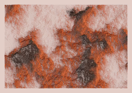 Item #1000700388 Media